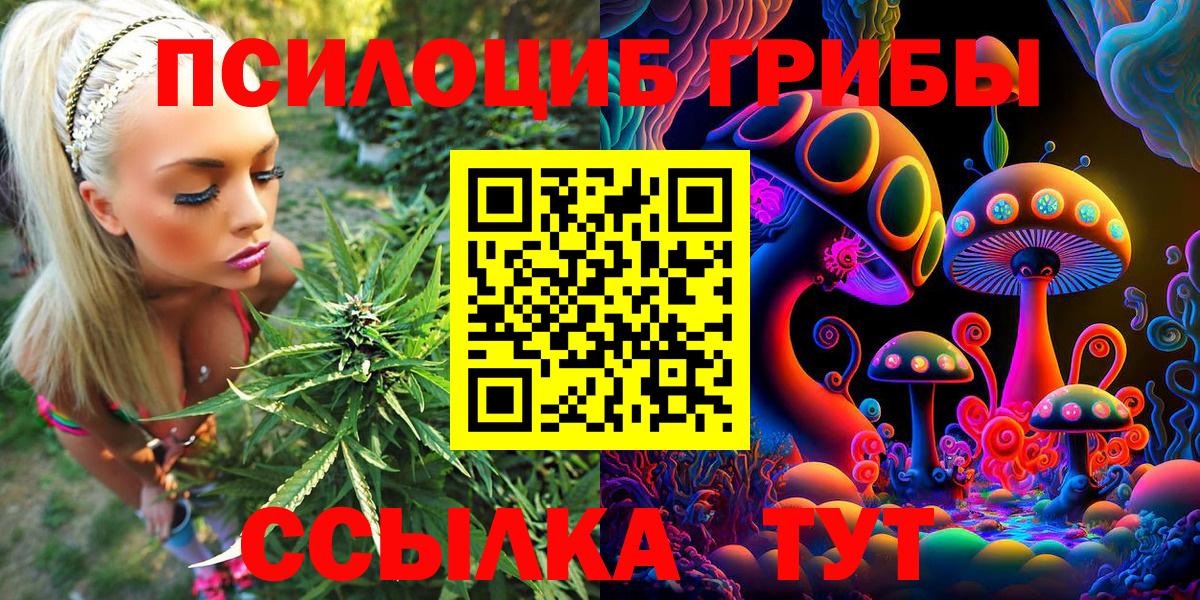 Псилоцибиновые грибы Psilocybe  где купить наркотик  Вход с VPN  Татарск  Псилоцибиновые грибы мицелий 